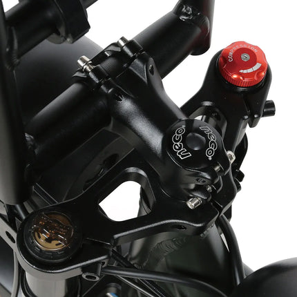 SAMEBIKE M20-III Electric Bike