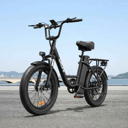 URLIFE 1000W Electric Bike | 48V 13Ah Removable Battery, 28MPH Speed, 20''X3" Fat Tire, 7-Speed with Dual Disc Brake