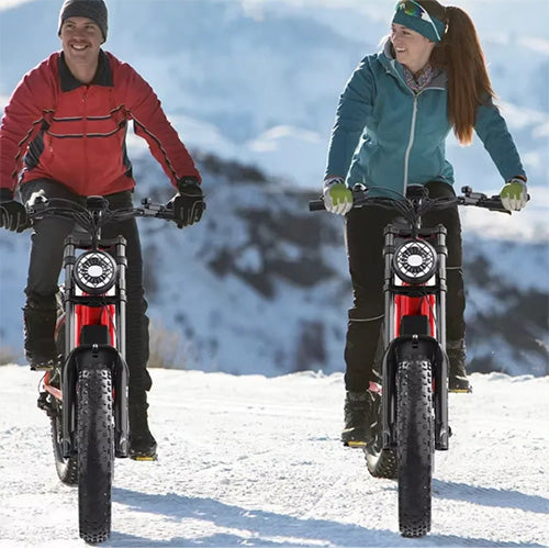Electric Bike HD-B6- 1200W, 48V15.6AH, Fat Tires