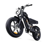 2000W 48V25Ah / 20 in Mountain tire