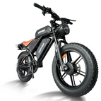 3500W 48V60Ah / 20 in Mountain tire