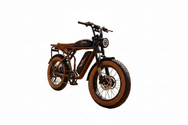 SAMEBIKE M20-III Dual Motor Dual Battery Fat Tire Electric Bike 2000W 20x4.0 All Terrain Ebike 48V 18AH Dual Removable Batteries Hydraulic Disc Brake Full Suspension For Adults