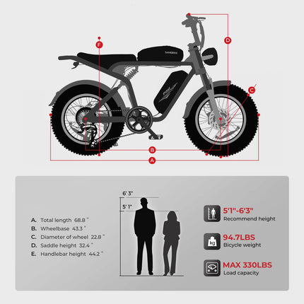 SAMEBIKE M20-III Electric Bike
